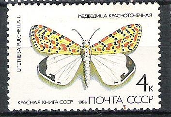 C.C.C.P. Mariposas Nº1