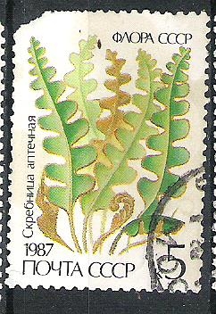 1987 Ferns Nº2