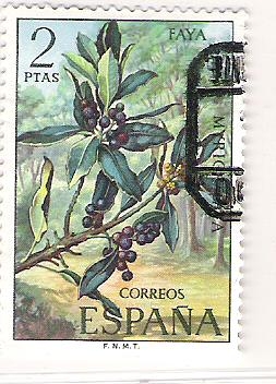 1973 Flora de las Islas Canarias.