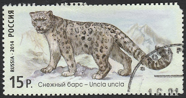 Fauna de Rusia, Uncla uncla