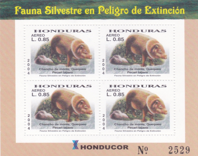 FAUNA SILVESTRE EN PELIGRO DE EXTINCIÓN