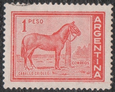 Caballo criollo