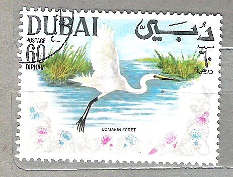 1968 Pajaros (Dubai)