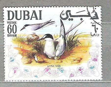 1968 Pajaros (Dubai)