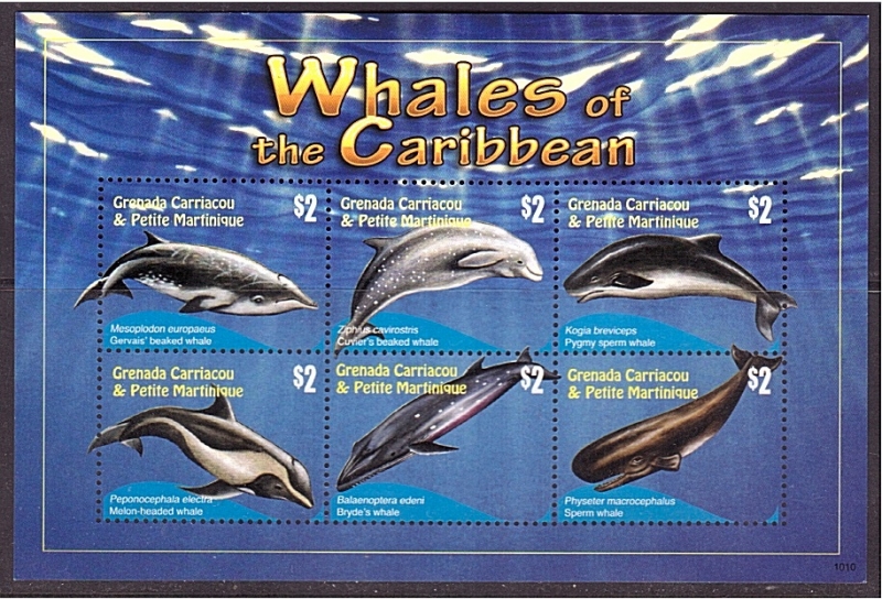 Cetaceos