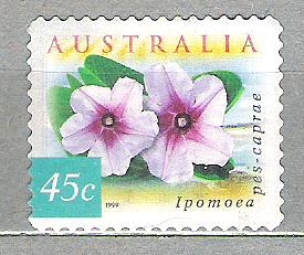 1999 Flora.