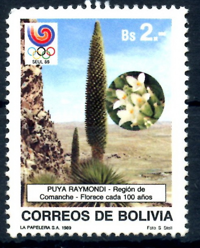 BOLIVIA_SCOTT 786 FLOR DE PUYA RAYMONDI, & SEUL 88. $1.25