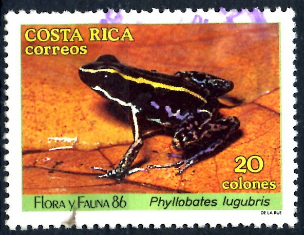 COSTA RICA_SCOTT 384.01 PHYLLOBATES LUGUBRIS. $0,20