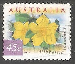  Hibbertia Scandens 