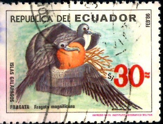 ECUADOR_SCOTT 1117 FRAGATA, ISLAS GALAPAGOS. $0,70