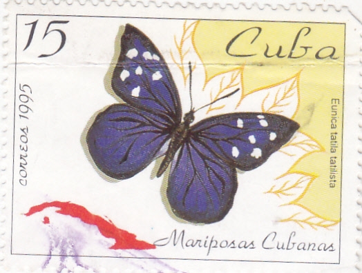 MARIPOSAS CUBANAS