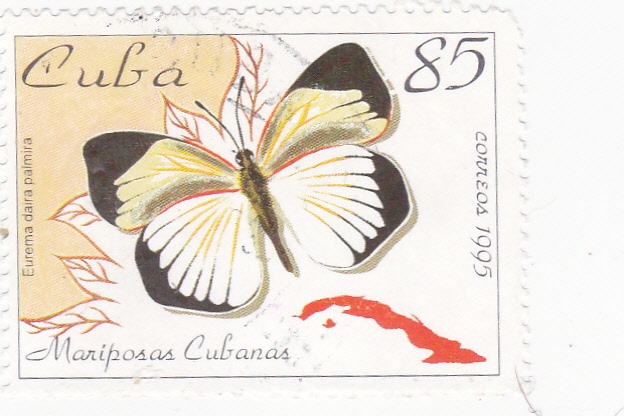 MARIPOSAS CUBANAS