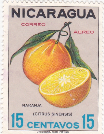 CITRICOS-NARANJA