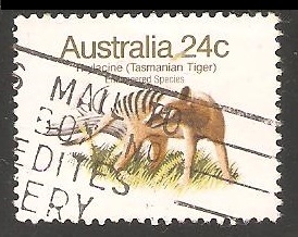 Tasmanian tiger-lobo marsupial 