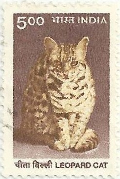 FAUNA SALVAJE. GATO DE BENGALA, Prionailurus bengalensis. YVERT IN 1525