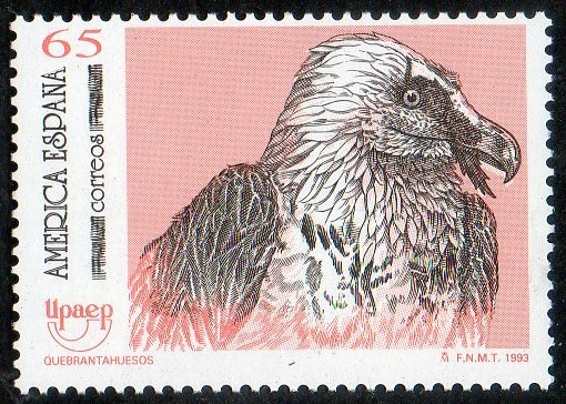 3271-  América-UPAEP.Aves en peligro de extinción. Quebrantahuesos.