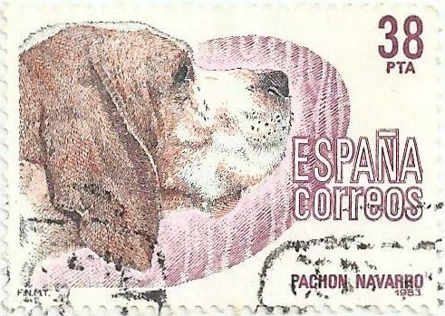 PERROS DE RAZAS ESPAÑOLAS. PACHÓN NAVARRO. EDIFIL 2714