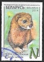 880 - Visón, mustela luteola