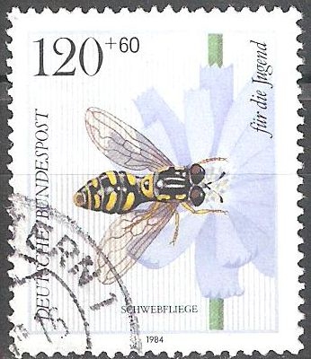 Para los jovenes,los sírfidos (Syrphidae).