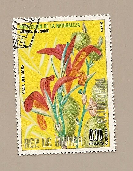 Proteccion de la Naturaleza - Flora de America del Norte