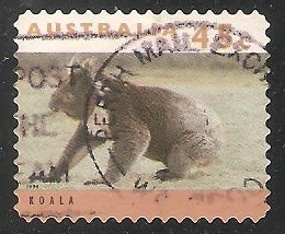 Koala