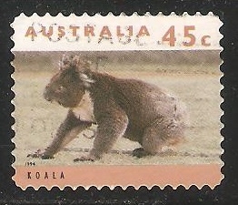 Koala