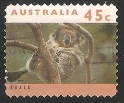 Koala