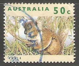 Koala