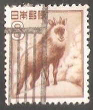 Japanese Serow