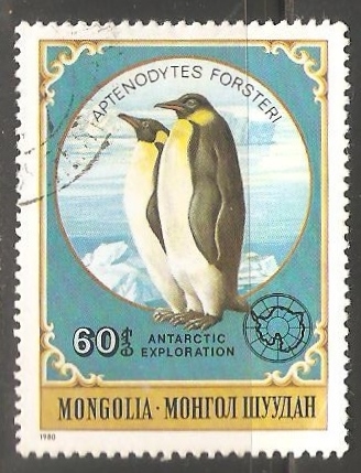 Emperor Penguin 