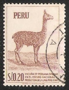 Vicuña