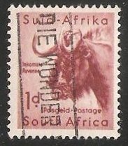 Black Wildebeest 