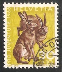 European Hare (Lepus europaeus)