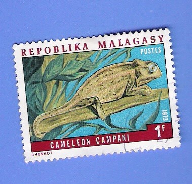 CAMALEON CAMPANI