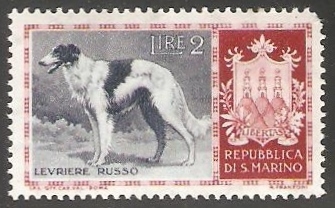 Borzoi