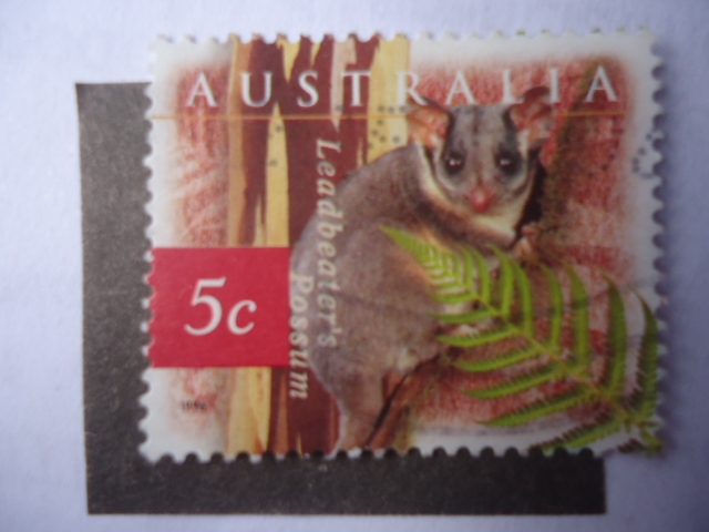 Scott/Australia N°1524- Leadbeater´s  Possum - 1524.