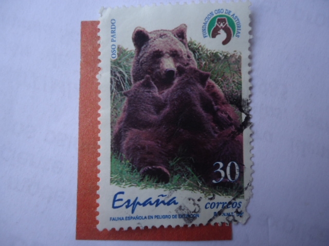 Ed:3412 - Oso Pardo- Fauna Española en Peligro de Extinción