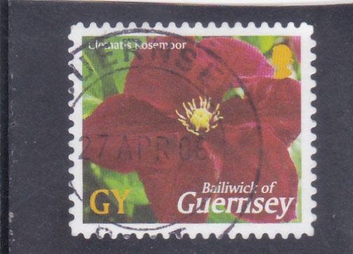 FLORES DE GUERNSEY