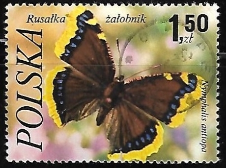 Mariposa