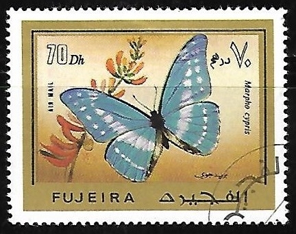 Mariposa