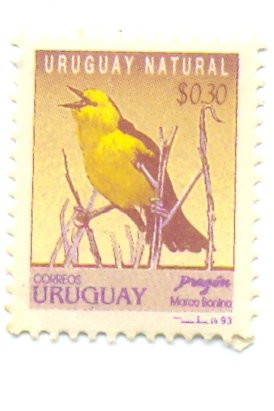 URUGUAY NATURAL