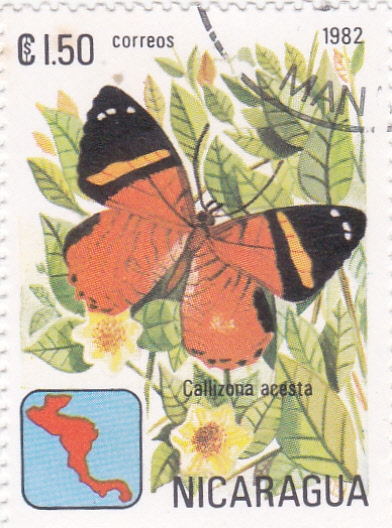 Mariposa