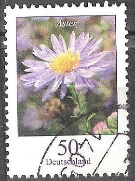 Flores - Otoño Aster