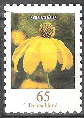 Flores - El ordinario (Rudbeckia fulgida).