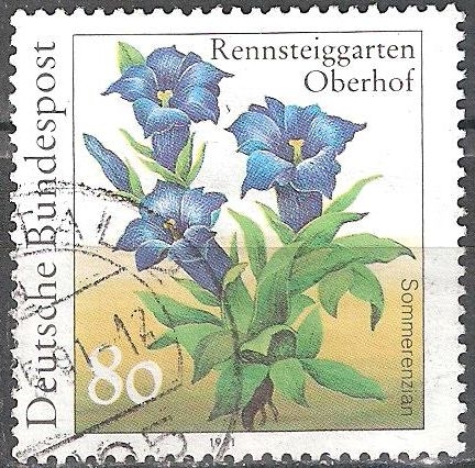 Plantas en Rennsteiggarten, Oberhof (Verano de genciana, Gentiana acaulis ).  