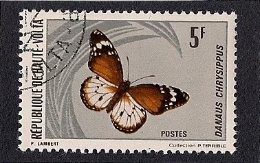 mariposa