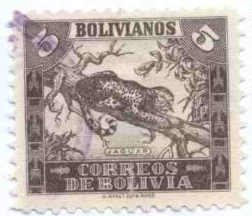 Fauna boliviana