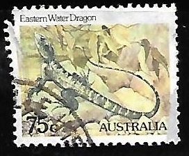 Australian Water Dragon