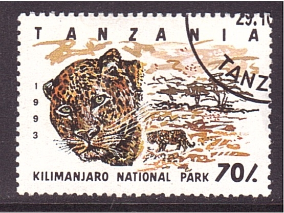 Parque Nacional Kilimanjaro