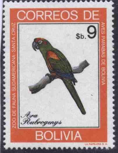 Fauna boliviana